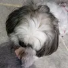 dejzunia28