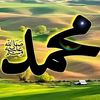 qalbi.degan0