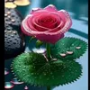 aziza.saddik7
