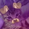 _jette_00