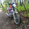 luisfernando13e