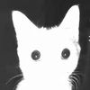 anonymousperson7270