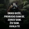 koste.ristov