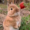 simon_im.masha