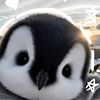 star_moon_134