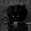 kabus_qaladzey
