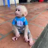 monkeykevin195