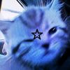 anisaakk__