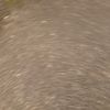 user123_0456