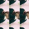 allyshanatasha6