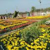 md.fahad95884