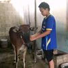 user8500192471681