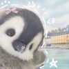 winterbear22357