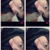 cintaa_sigmajirr