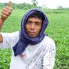andrapramana91