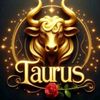 Taurus°♉♉♉°
