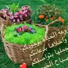 user743593017843