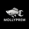 mollyprem