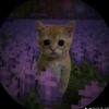 topal.sergei