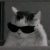 newbie_...0