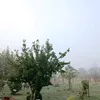 Novi Hrvatski pokret