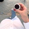 lina.hayat96