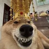 duskzzzzz