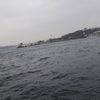 kartal_7306