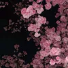 omimss_1234wxsomomlab1
