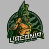 Laconia Fantasy Football