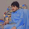 farmarz_shahnavazi8008