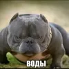 sajik_00