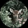 rrroq_