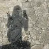 thera_frappocino