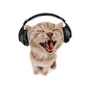 sillycatwithheadphones