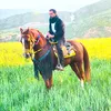 asp.pasha
