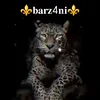 b4rzaniii.2