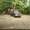 juragan_kayu_yoya