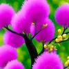 wasol.ihsan