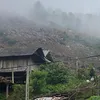 thng13114