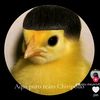aguilar_xit