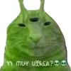 elkakasss2