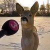 j_d_1_6