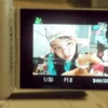 em1lyyx.x