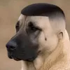 maloqueiropesado