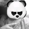 tamosredy29