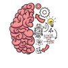 ._brain_test_