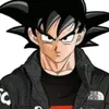 gokusemroteiro