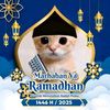 hange11122155