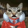 icecat2fjir